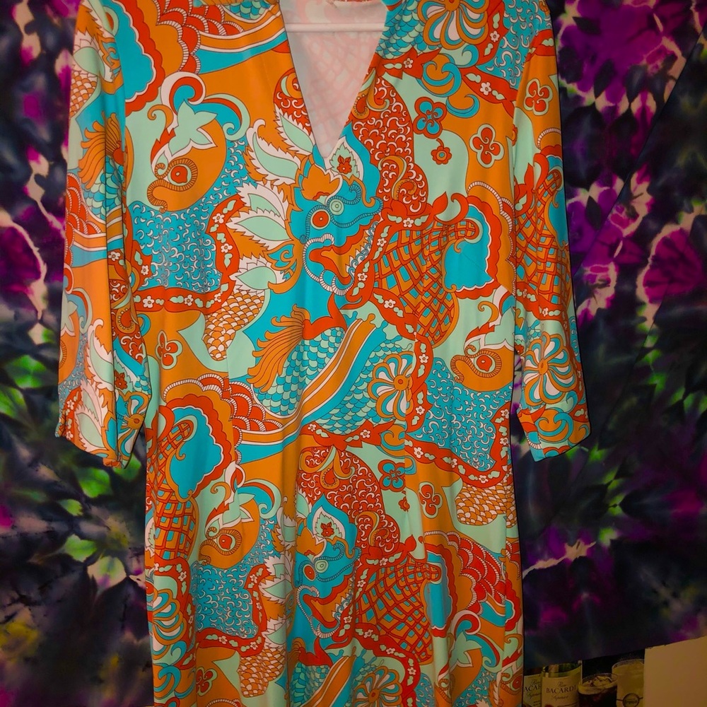Groovy paisley dress